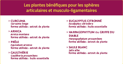 Plantes bénéfiques articulations